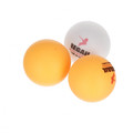 Regail Table Tennis Set 14+