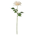 SMYCKA Artificial flower, in/outdoor Dahlia/white, 65 cm