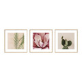 Picture Set Palm & Cactus 20 x 20 cm 3-pack