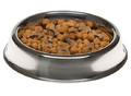 Dog Bowl Supernova 30, stainless steel