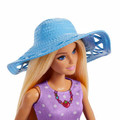 Barbie Family & Friends Dolls & Accessories JBF43 3+