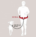 Trixie Waist Belt with Dog Leash Hands Free for Dogtrekking