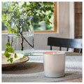 ADLAD Scented candle in ceramic jar, Scandinavian Woods/white, 50 hr