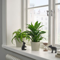 KÖRSBÄRSBJÖRK Plant pot, light grey/beige, 9 cm