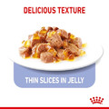 Royal Canin Appetite Control Care Wet Cat Food in Jelly 85g