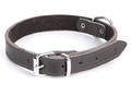 Dingo Dog Leather Collar 2.0x45cm, black