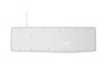 Natec Wired Keyboard Nautilus US Slim, white