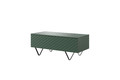 Coffee Table with Storage Scalia 120, matt labrador/black legs