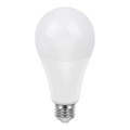 Diall LED Bulb A67 22W E27 2452lm 2700K, frosted, warm white