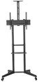 NewStar Floor Stand 37-70" 50kg FL50-550BL1