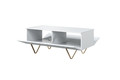 Coffee Table with Storage Scalia 120, matt white/gold legs