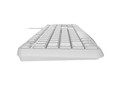 Natec Wired Keyboard Nautilus US Slim, white