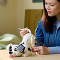 LEGO Disney 101 Dalmatians Puppy 18+