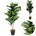 Artificial Plant Ficus