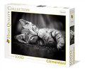 Clementoni Jigsaw Puzzle High Quality Kitten 1000pcs 10+