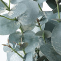 FEJKA Artificial potted plant, in/outdoor eucalyptus, 15 cm