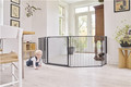 Baby Dan Carl Wide XX outdoor safety gate, black