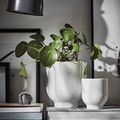 DRÖMSK Plant pot, white, 9 cm