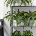 FEJKA Artificial potted plant, in/outdoor fern, 15 cm