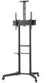 NewStar Floor Stand 37-70" 50kg FL50-550BL1
