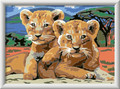 Ravensburger Painting By Numbers CreArt Little Lions 11+