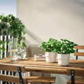 FEJKA Artificial potted plant, in/outdoor/basil, 9 cm