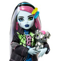 MONSTER HIGH® FRANKIE STEIN™ Doll HXH73 4+