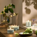 LOTSFÅGEL Scented candle in glass, Apple light green, 20 hr
