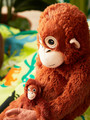 DJUNGELSKOG Soft toy, orangutan