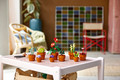 LEGO Icons Botanical Collections Tiny Plants 18+