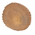 Concrete Disc Stepping Stone 40cm, wood-effect Acacia