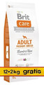 Brit Care Dog Food New Adult Medium Breed Lamb & Rice 14kg (12+2kg)