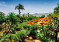 Ravensburger Jigsaw Puzzle 1000pcs Botanical Garden Madeira Portugal 14+
