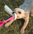 Dingo Dog Toy Tug, pink