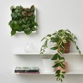 FEJKA Artificial potted plant, indoor/outdoor/tradescantia zebrina, 12 cm