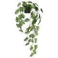 FEJKA Artificial potted plant, in/outdoor hanging/Monstera, 9 cm