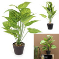 Decorative Artificial Alocasia Plant 55cm