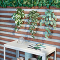 FEJKA Artificial plant with wall holder, in/outdoor/green