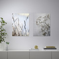PJÄTTERYD Picture, set of 2, meadow grass, 30x40 cm