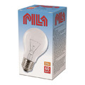 Pila Light Bulb 60W E27 24V, warm white