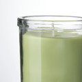 LÖVSKOGSLUND Scented candle in glass, Apple/light green, 40 hr