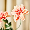 SMYCKA Artificial flower, in/outdoor Dahlia/orange, 66 cm