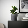 PERSILLADE Plant pot, dark grey, 15 cm