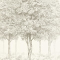 GoodHome Wall Mural Wallpaper Sunste, light grey trees