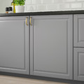 BODBYN Door, grey, 60x100 cm