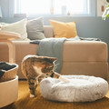 UTSÅDD Pet bed, light grey, S