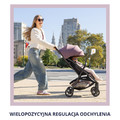 Graco MyAvo Stroller Mint 0-22kg
