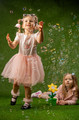 Fru Blu Bubble Flower + liquid 2x40ml