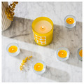 SVARTOXBÄR Scented candle in glass, Mimosa/yellow, 45 hr