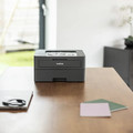 Brother Laser Printer HL-L2402D